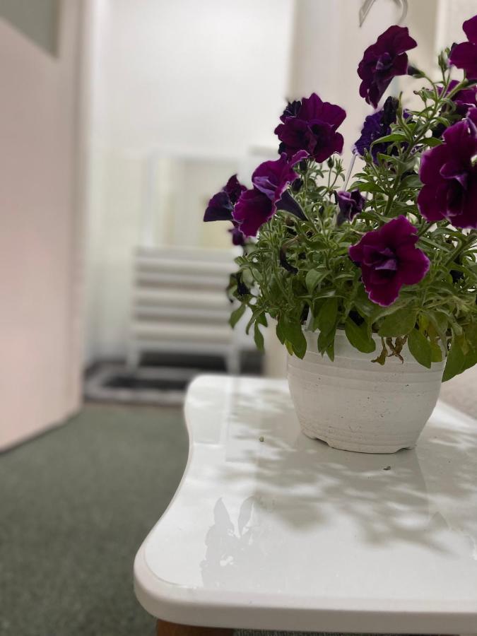 Apartment-Rubin Prisztina Zewnętrze zdjęcie
